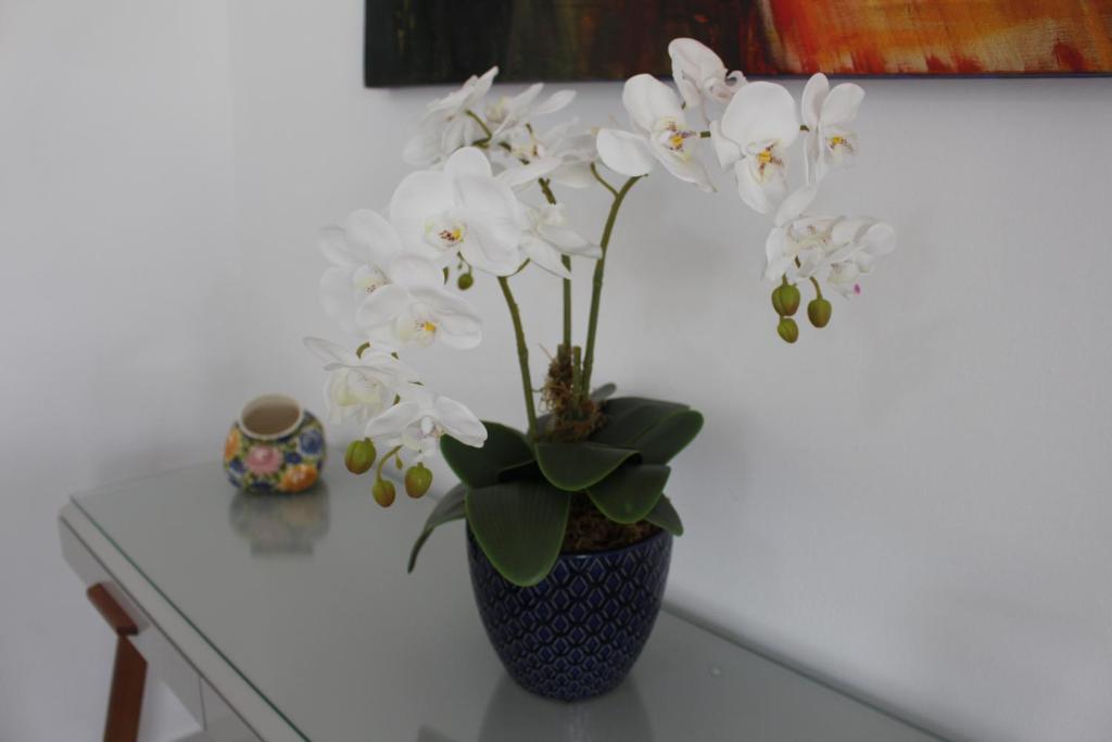  APARTAMENTO PRAIA FORTE