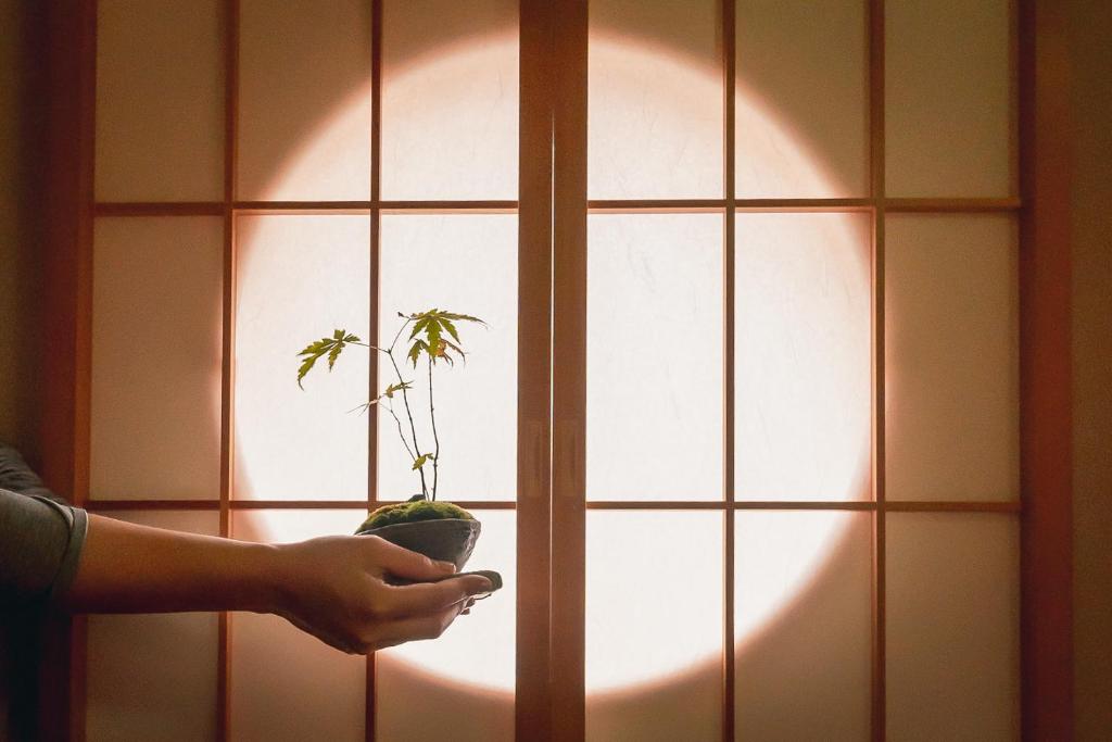 Guesthouse Chayama في كيوتو: شخص يمسك بزرع الفخار أمام النافذة