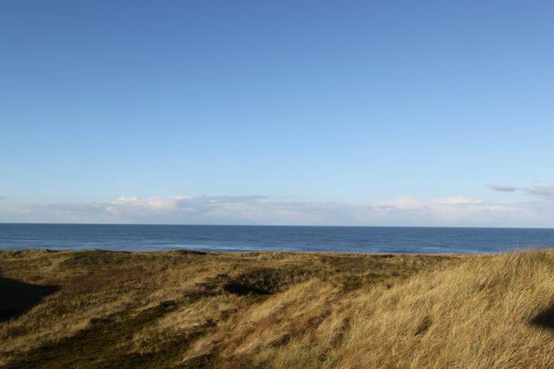 a field of grass with the ocean in the background at Seewarte in Hörnum