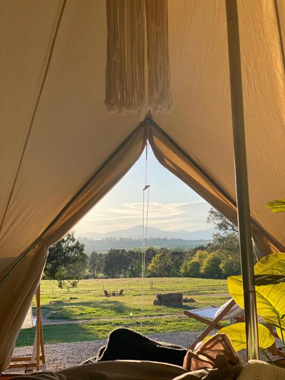 Příroda nedaleko luxury tent
