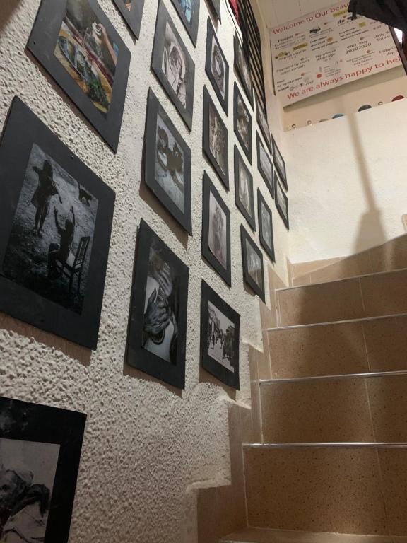 Fotografie z fotogalerie ubytování Terrace House 88 v Marrákéši
