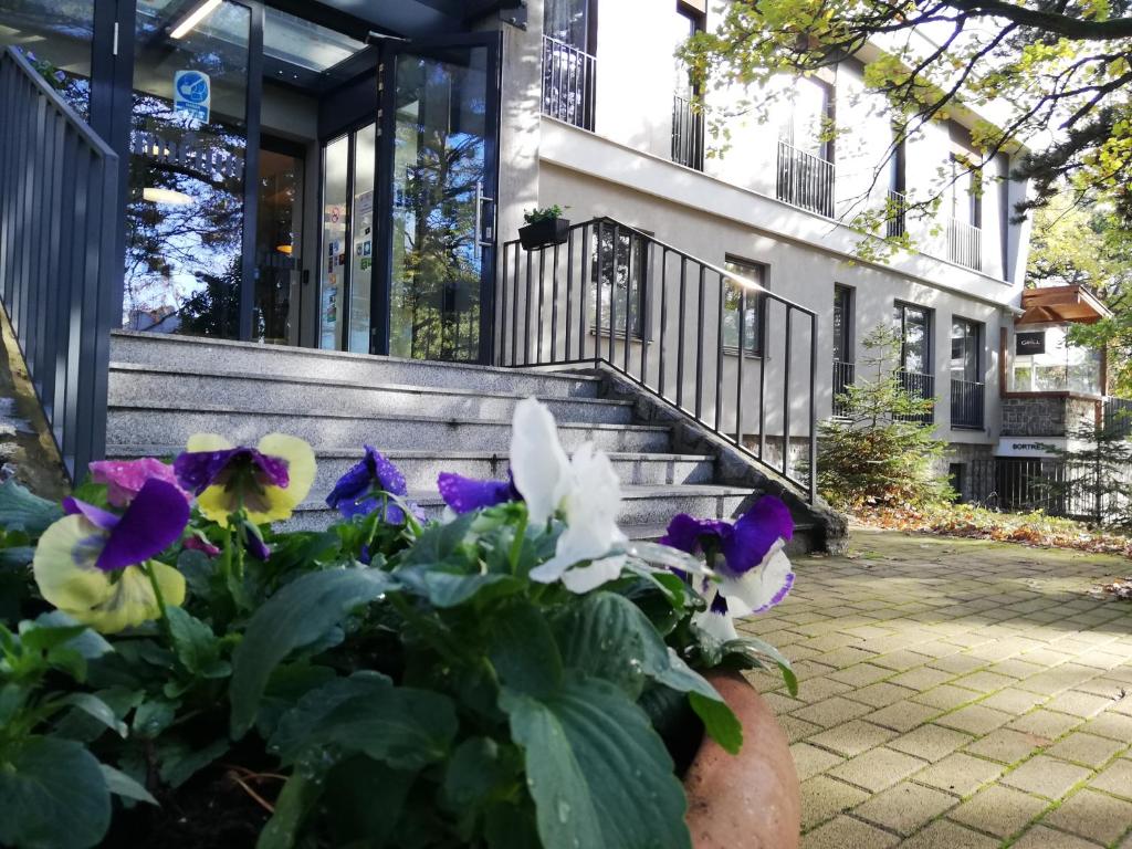 Zahrada ubytování Hotel Therapia