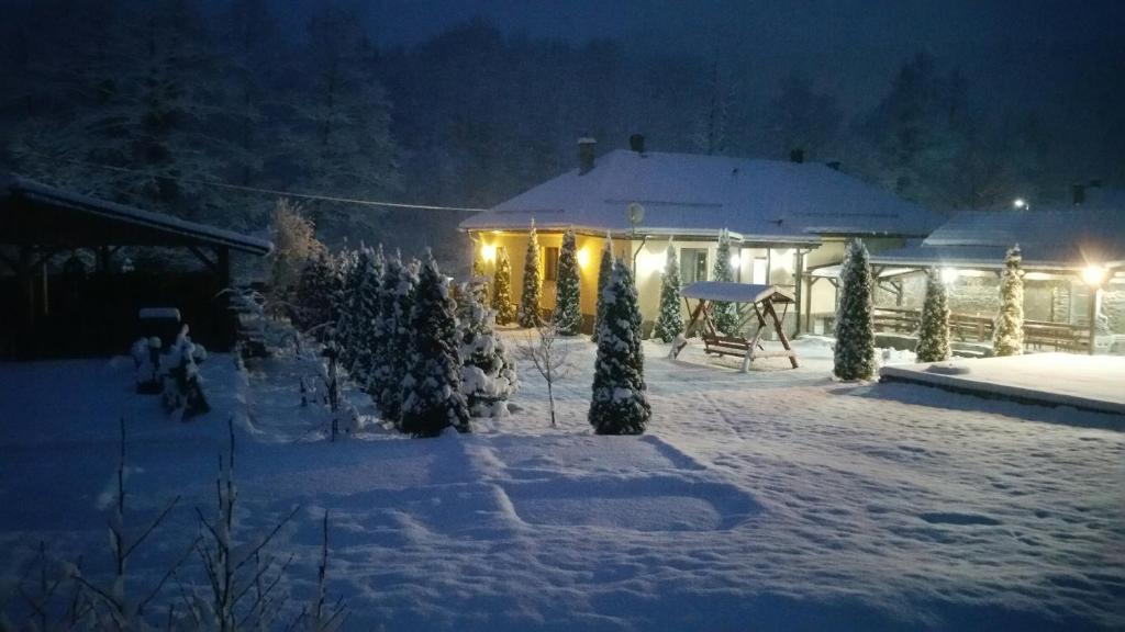 Casa Alex v zimě