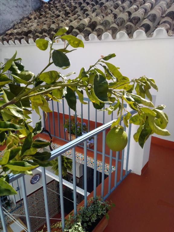 Un balcón o terraza de La Puerta Azul
