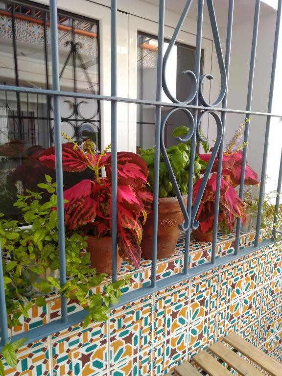 Imagen de la galería de La Puerta Azul, en Bornos