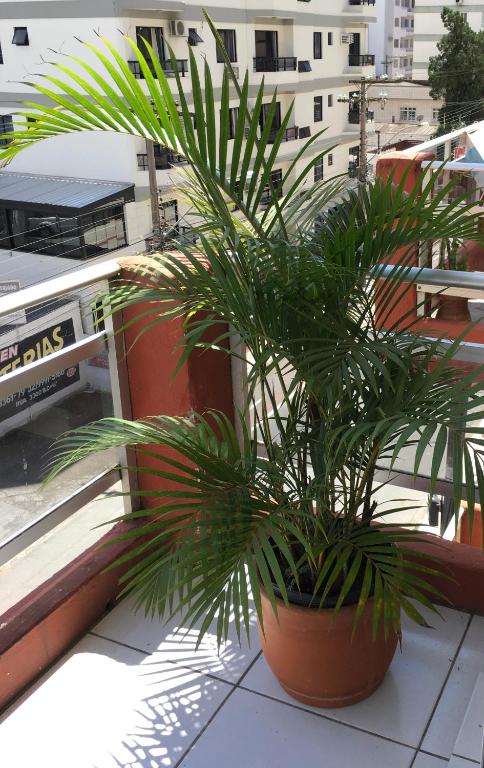  Apartamento confort