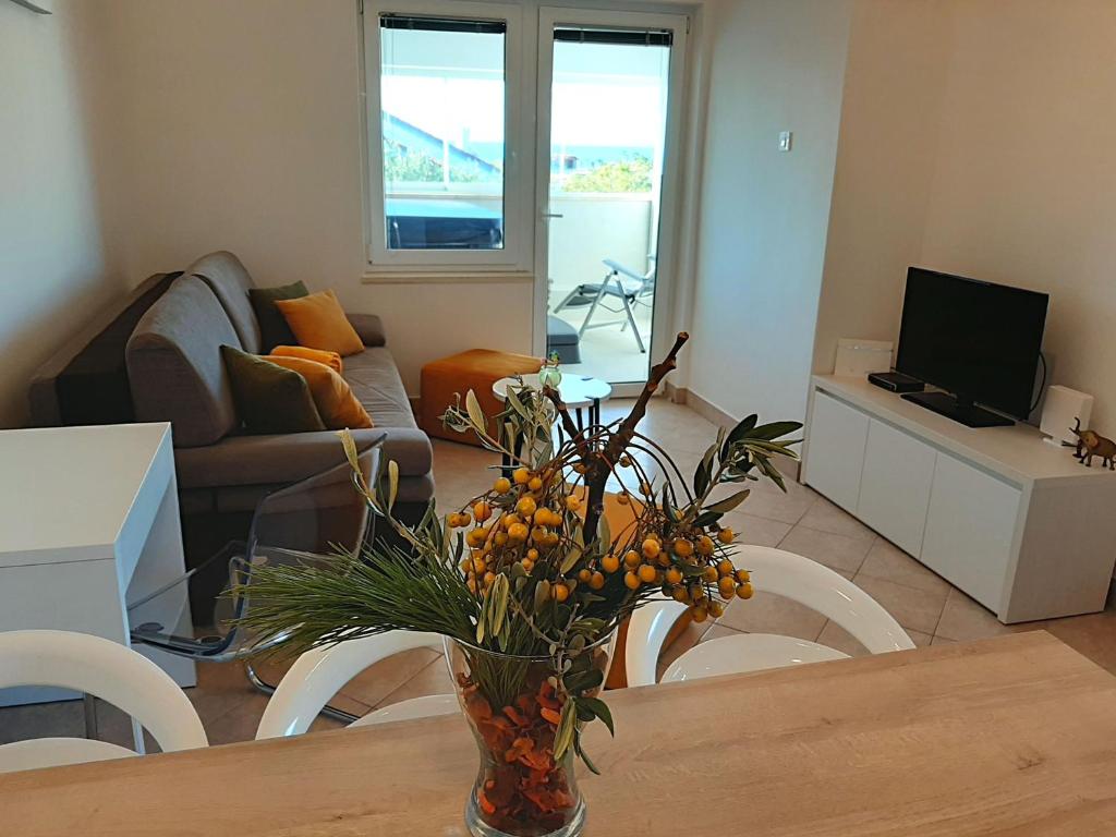 Telewizja i/lub zestaw kina domowego w obiekcie Sunwell apartments - Novalja, Gajac, Zrće