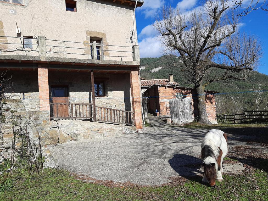 Mas Pujol 2, Campdevánol – Updated 2022 Prices
