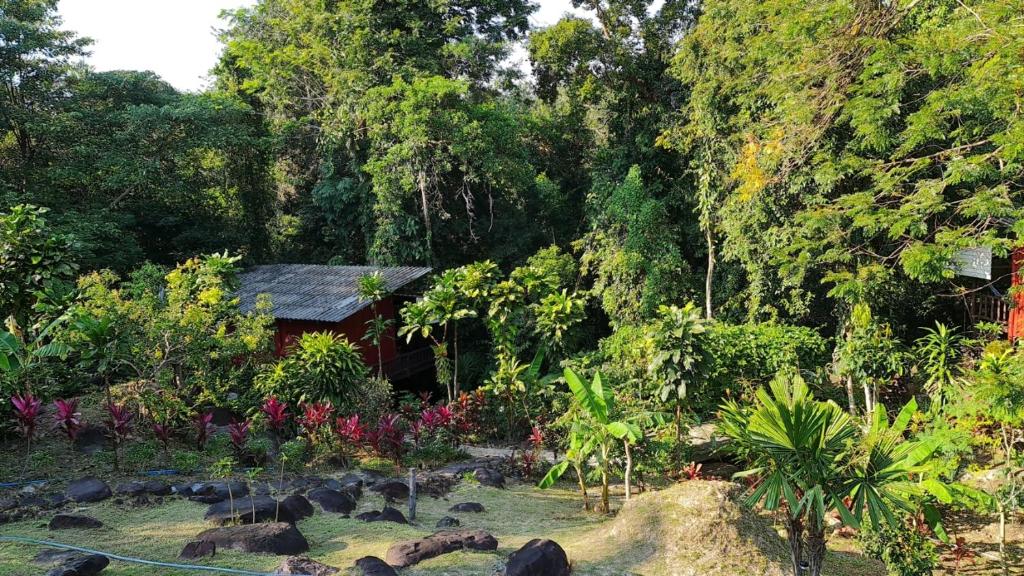 Wooden Hut Koh Kood - 15