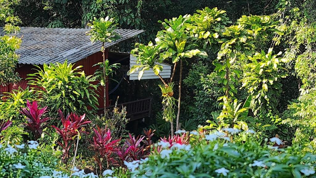 Wooden Hut Koh Kood - 4