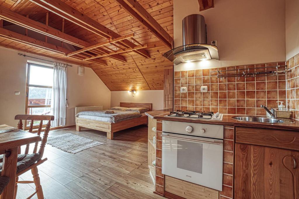uma cozinha com um lavatório e um fogão num quarto em ZET - Penzion & Wellness em Vysné Ruzbachy