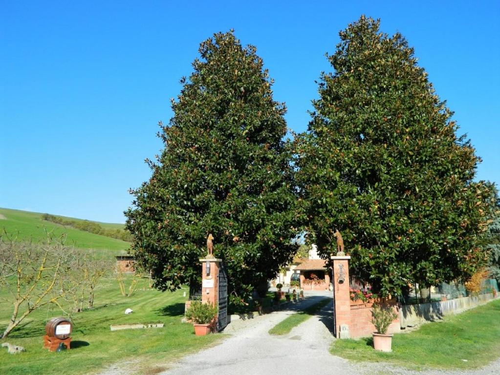 un grupo de tres árboles en una entrada en Francigena, en San Casciano dei Bagni