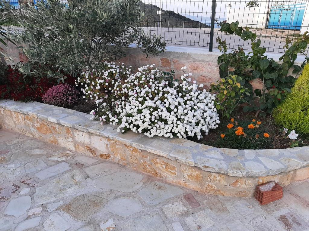 a garden with white flowers in a stone planter at Villas Ermali in Ksamil