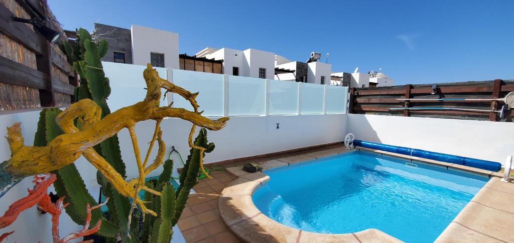 una piscina en la azotea de un edificio con un cactus en Playa Blanca Lanzarote, en Playa Blanca