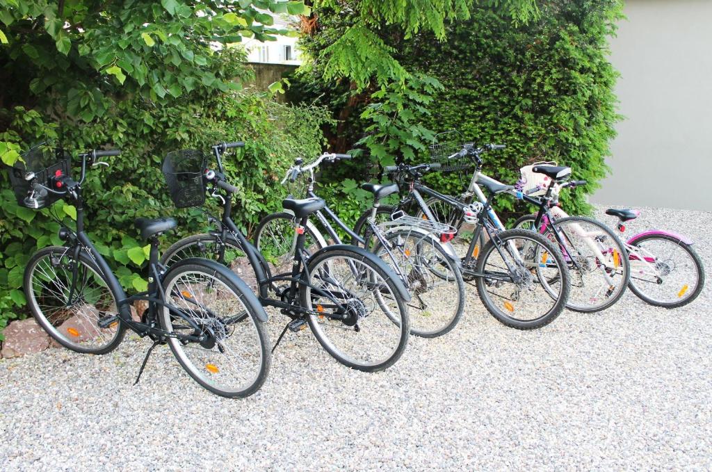 Ciclismo em Villa &Eacute;lyane ou nos arredores