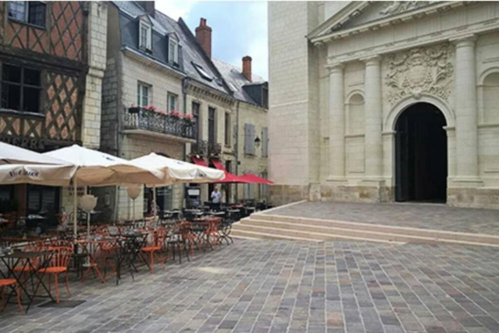 appart centre ville bords de loire - 一居室公寓