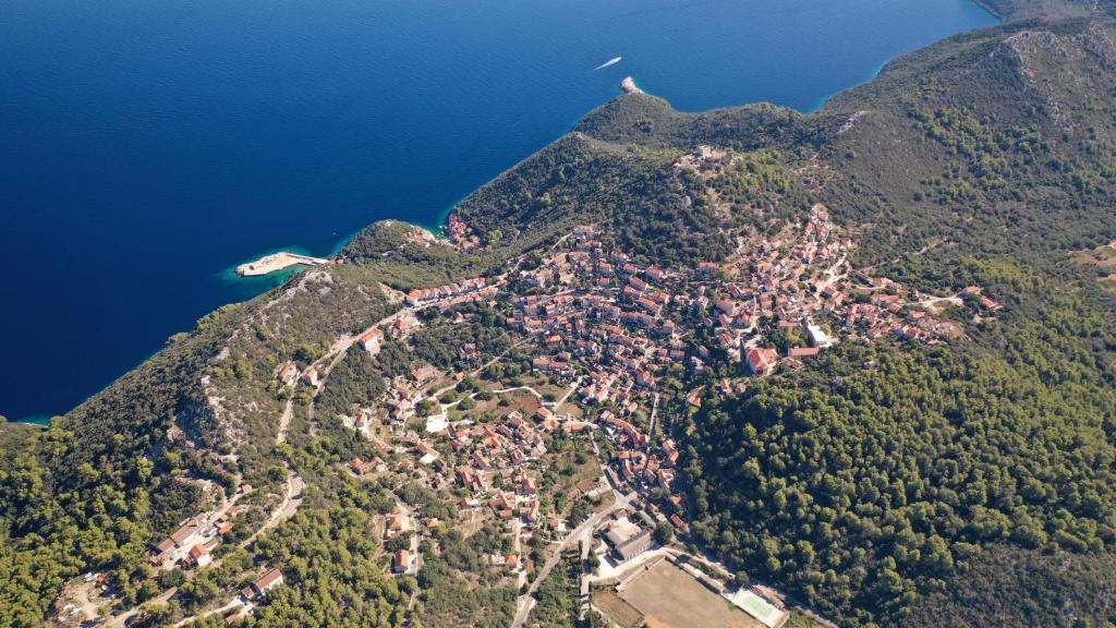 Příroda nedaleko apartmánu