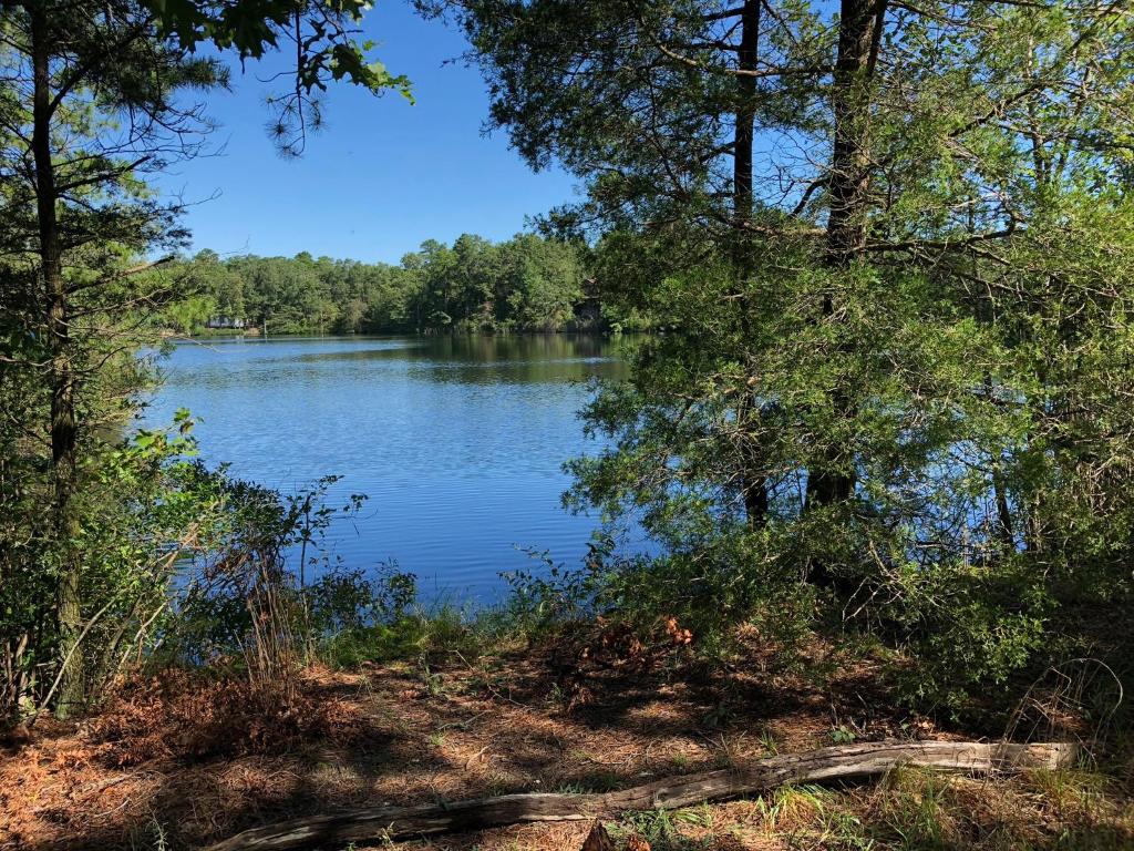 Swan Lake Resort, Galloway Updated 2022 Prices