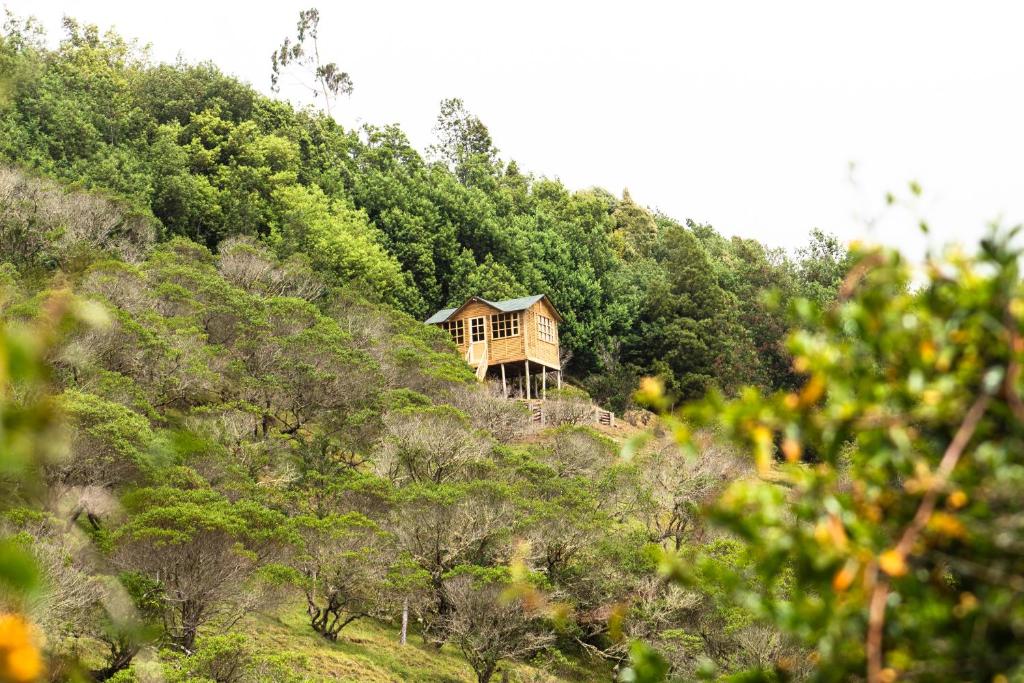 a house on the side of a hill with trees at Paradise Glamping in Chocontá