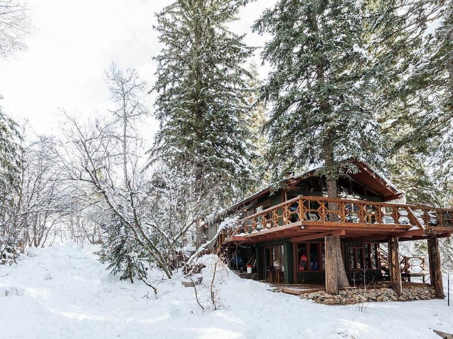 a log cabin in the woods in the snow at Treehouse On The Stream Sundance, Utah in Sundance