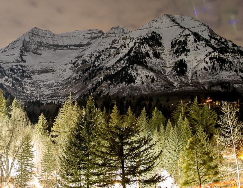 a snow covered mountain with trees in front of it at Treehouse On The Stream Sundance, Utah in Sundance