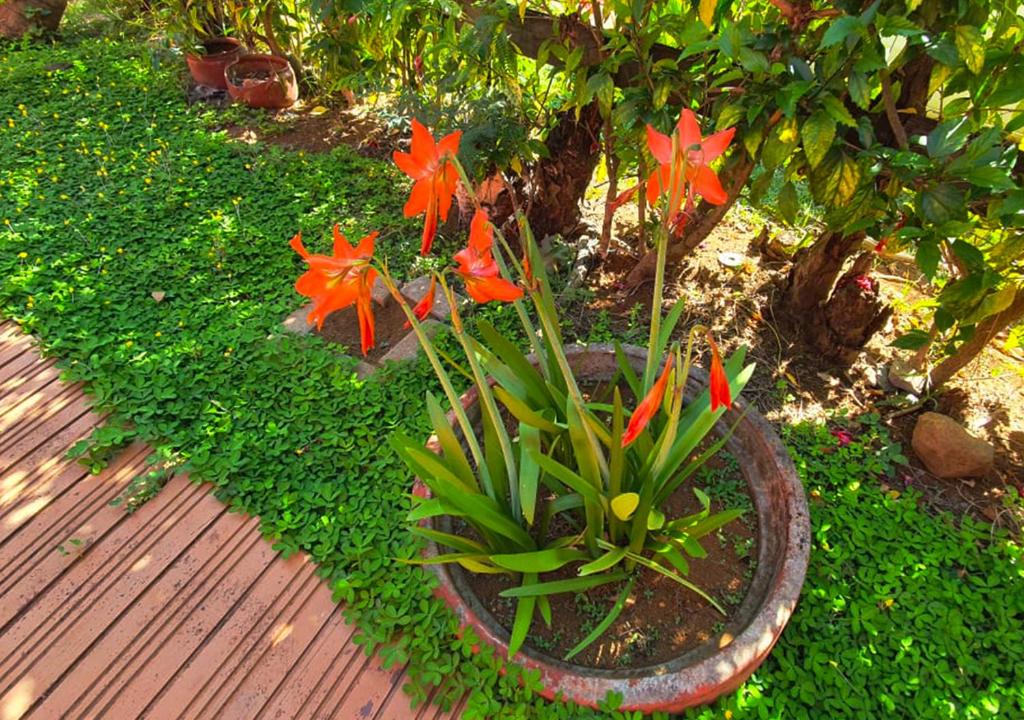  Pousada das Ilhas