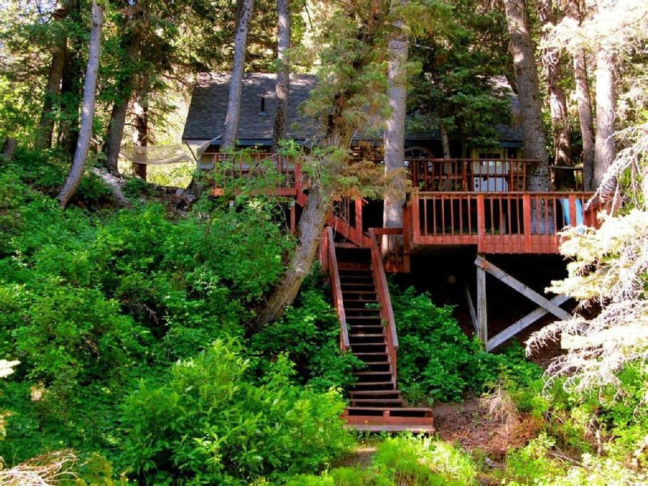 Zahrada ubytování Hideaway Above The Stream Sundance, Utah