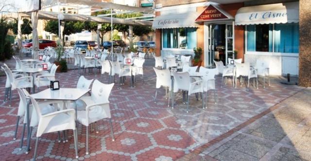 El Cisne Verde - Resim 19