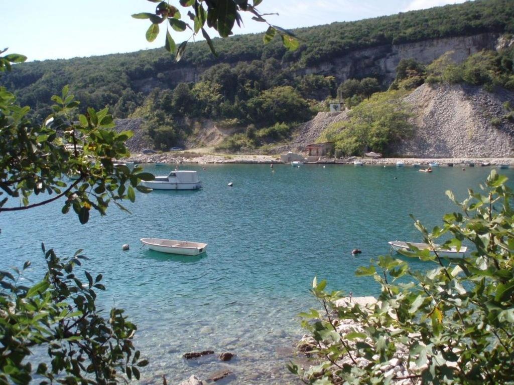 Fotografie z fotogalerie ubytování Holiday villa in village Rakalj v destinaci Rakalj