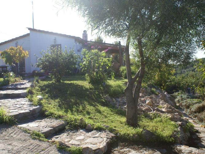 a house with a tree in front of a yard at Charming Holiday Home in Kritinia with Garden in Kritinía
