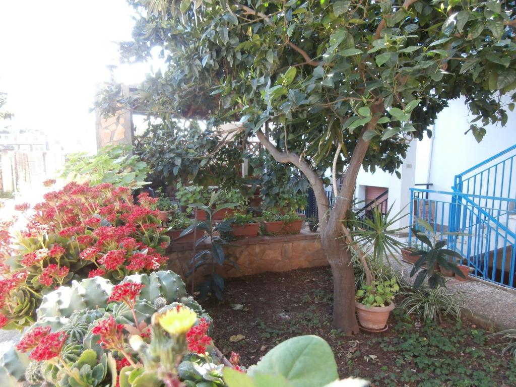 a garden with a bunch of flowers and a tree at Busalacchi B&B in Mondello