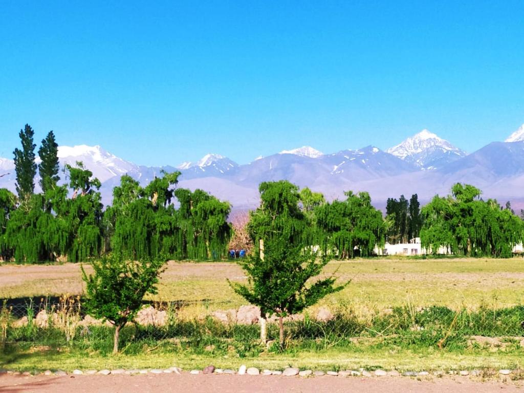 El Mirador A Los Andes