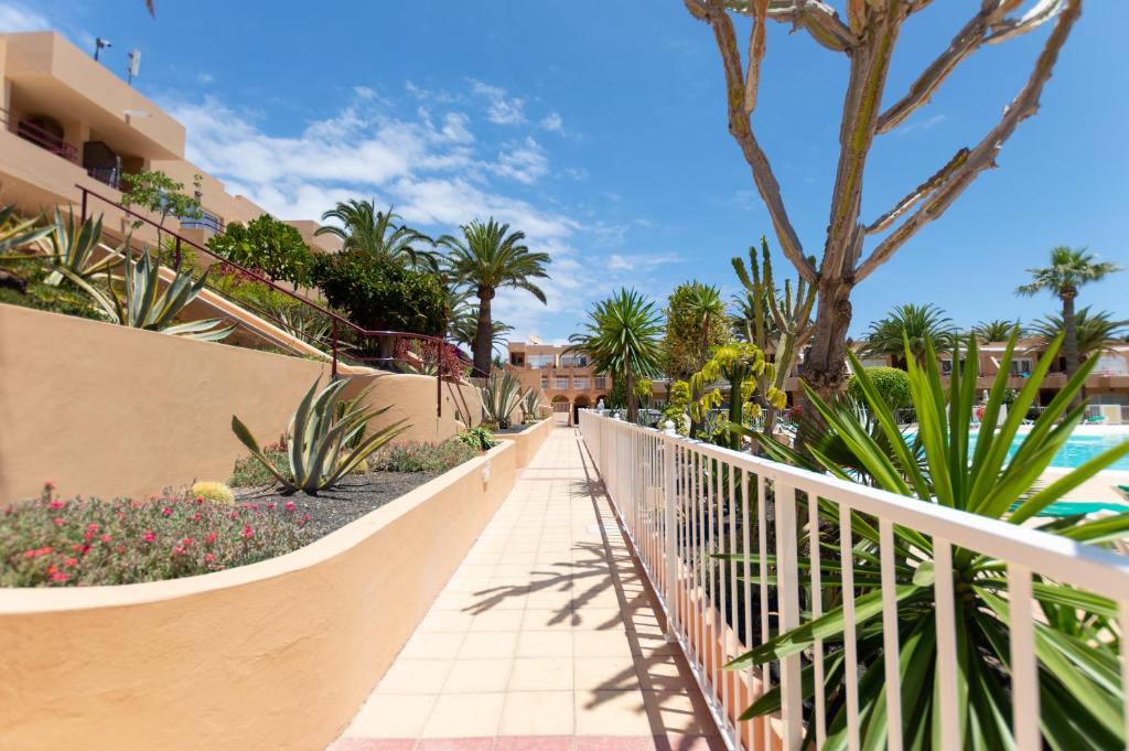 Fotografia z galérie ubytovania Sol v destinácii Corralejo