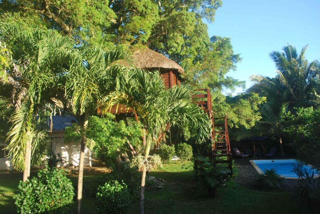 Zahrada ubytování Tree Lodge Mauritius