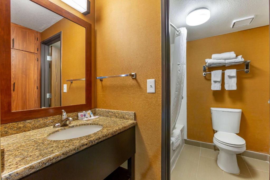 Koupelna v ubytování Comfort Inn & Suites Phoenix North - Deer Valley