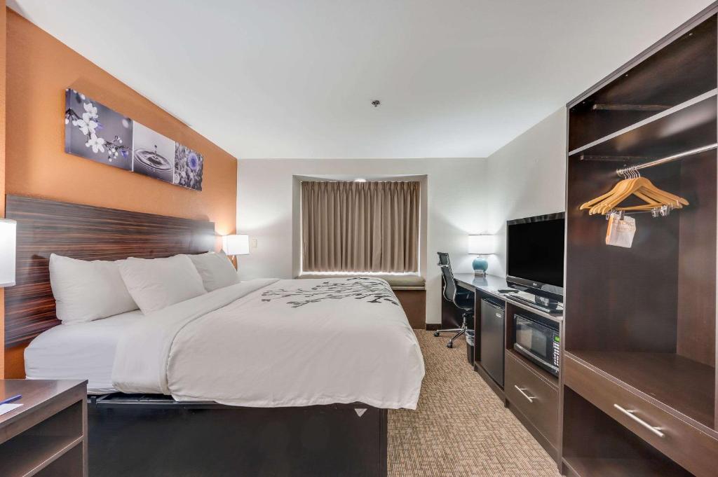 a hotel room with a bed and a desk and a television at Sleep Inn & Suites in Decatur