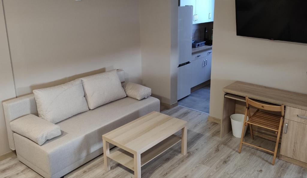 Televízia a/alebo spoločenská miestnosť v ubytovaní Krollhouse Pokoje gościnne