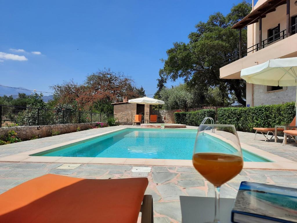 un bicchiere di vino seduto accanto alla piscina di Villa Maragoudi ad Arménoi
