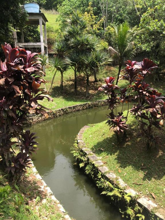  Sítio Paraíso - Guapimirim