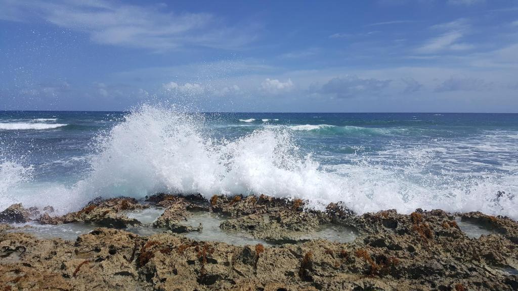 Eine Welle stürzt auf einem Felsen im Ozean in der Unterkunft Riviera Maya Luxury Oceanfront Condo in Akumal