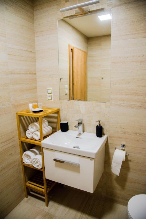 Koupelna v ubytování Apartmán PMR