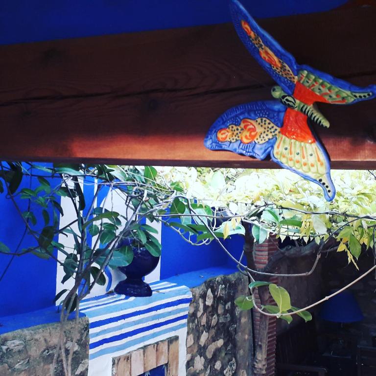Zahrada ubytování Casa Gallinera