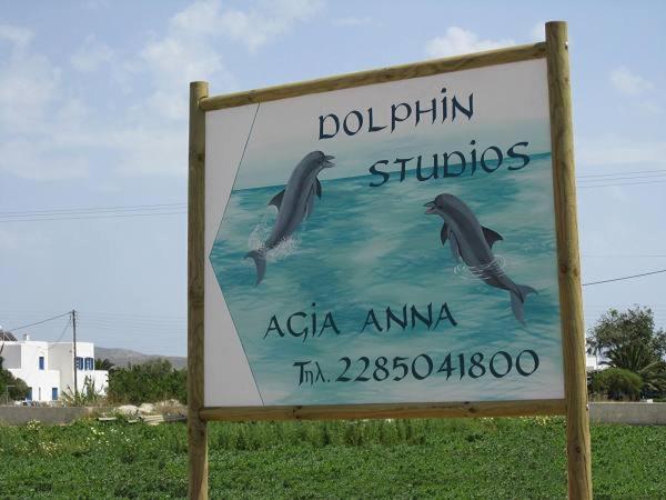 Certifikát, ocenenie alebo iný dokument vystavený v ubytovaní Dolphin Studios