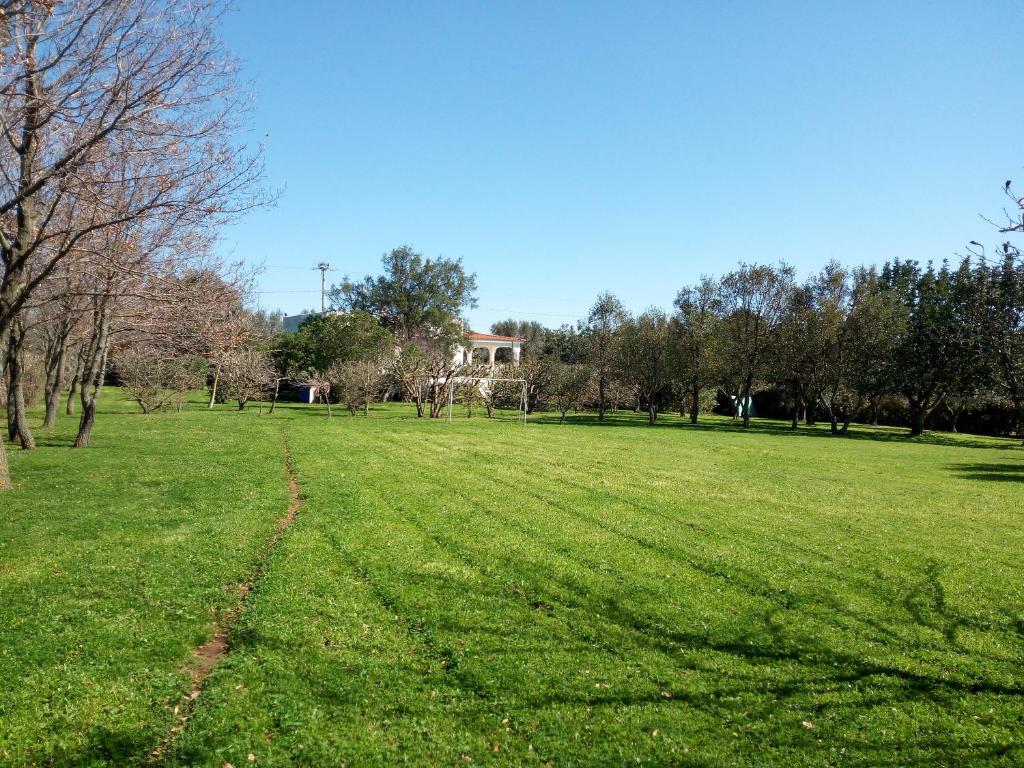 un champ d'herbe verte avec une maison en arrière-plan dans l'établissement Villa Floris giardino AIRCON WIFI Parcheggio, à Ostuni