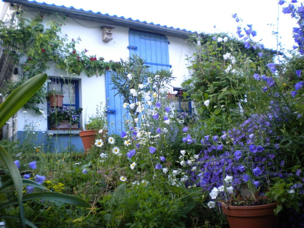 einen Garten mit Blumen vor einem Haus in der Unterkunft Zimmer Frei in Wiesbaden