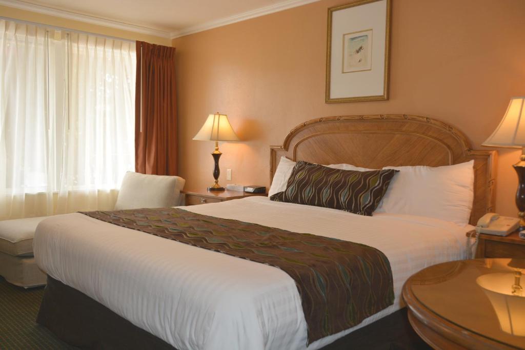Oasis Inn and Suites - 
