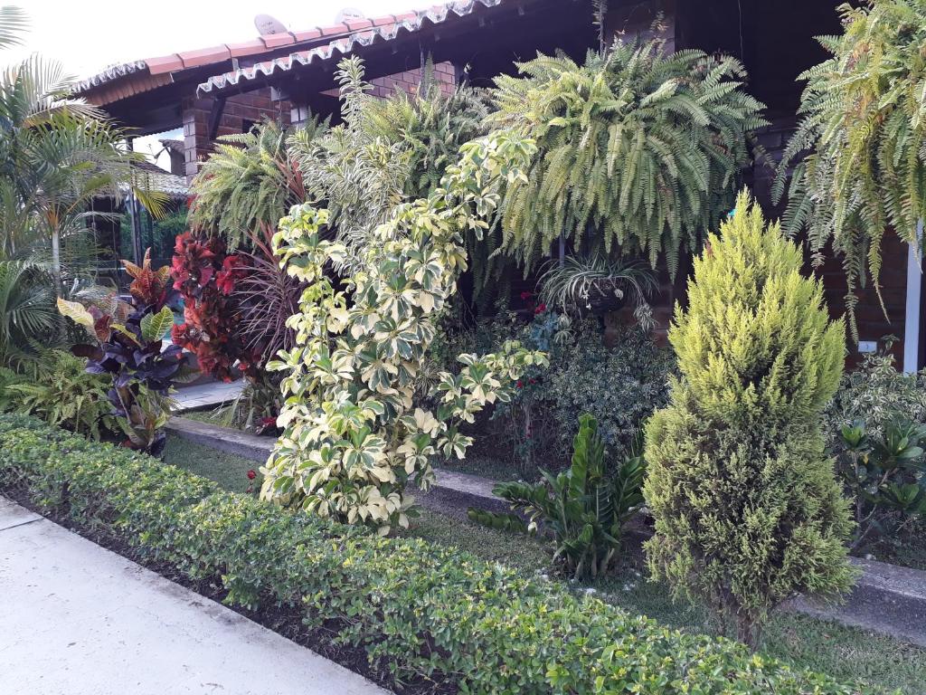  Chalé aconchegante na Serra Pernambucana - Em condomínio - Gravatá