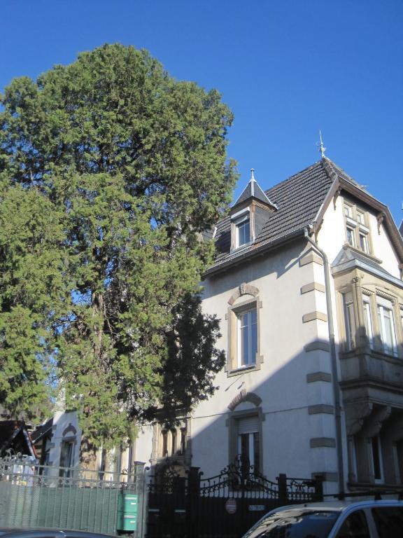 Appartement Colmar Centre Le 4 - 7