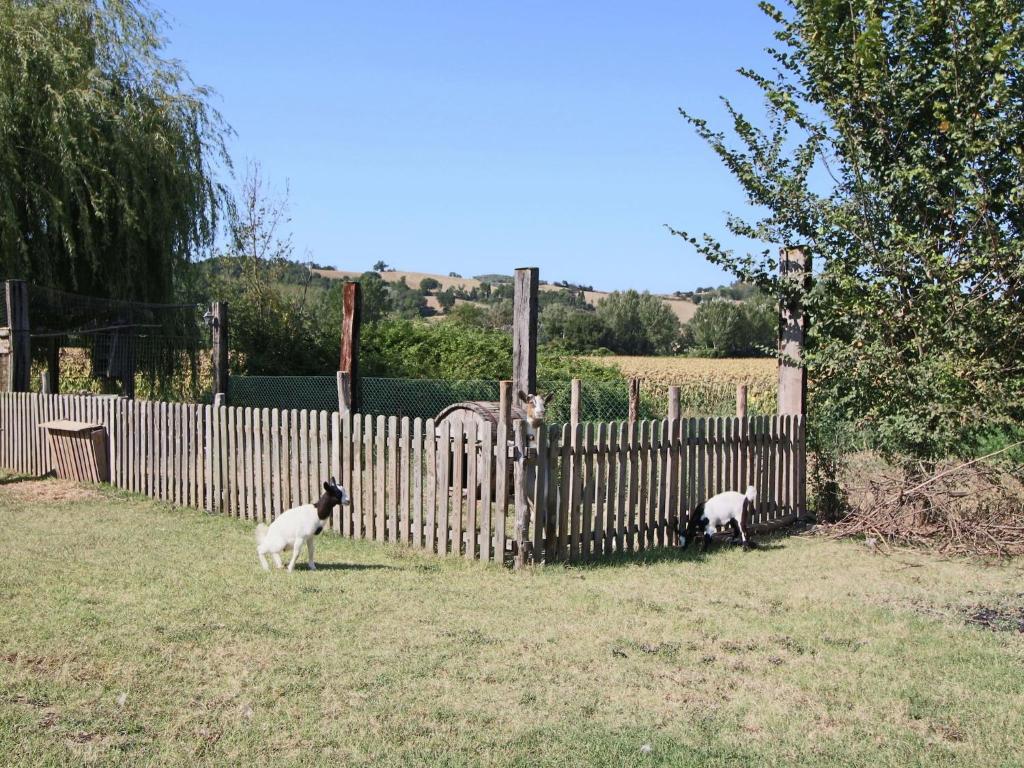 Vonkajšia záhrada v ubytovaní Cozy Countryside Cottage in Todi
