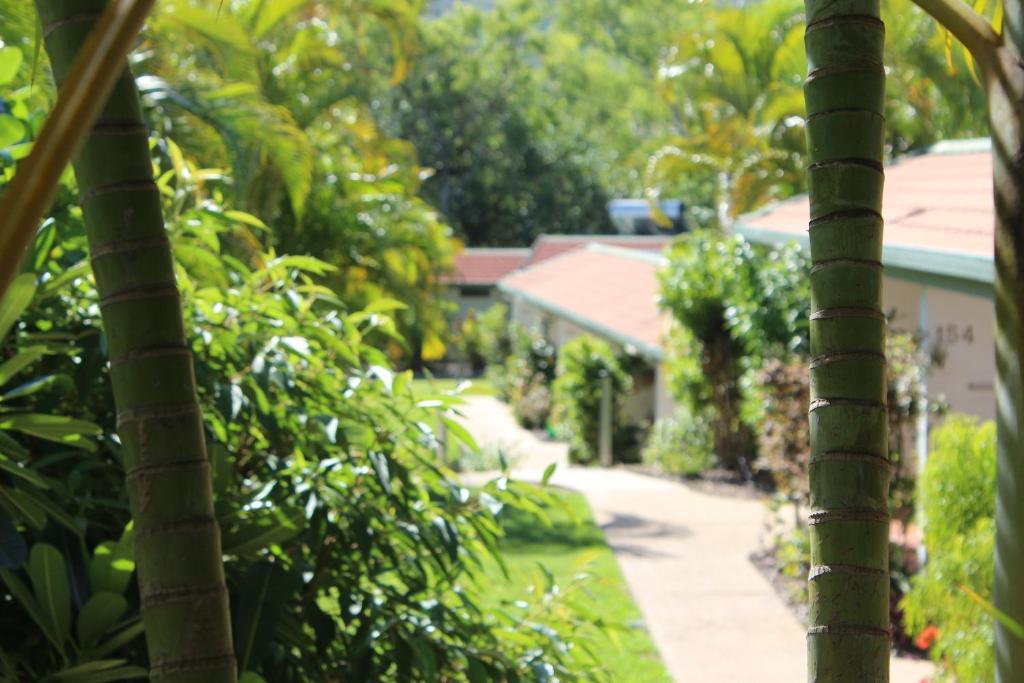 Zahrada ubytování Amaroo On Mandalay, Magnetic Island